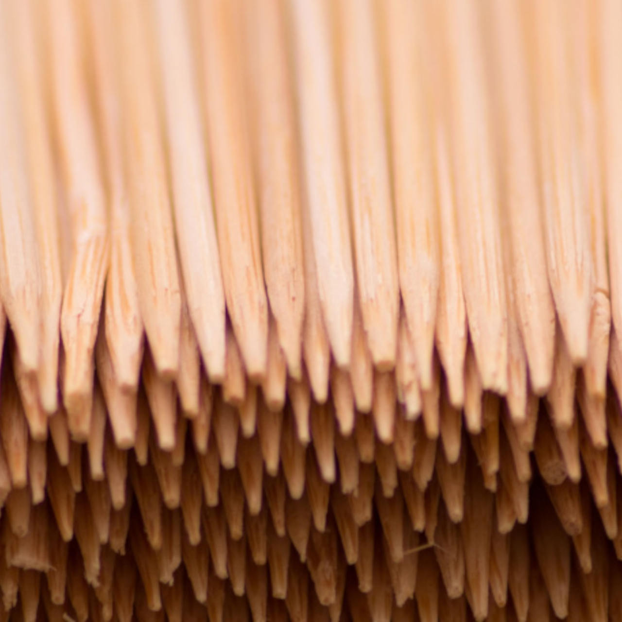 ZahnstocherStartseite